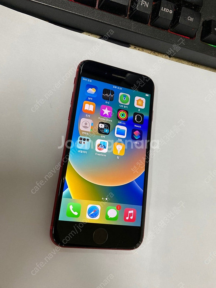 204047 아이폰8 레드 A급 256GB 배터리성능100% 인스타 자녀폰 업무폰 감성카메라 추천 20만 (대량가능...--1